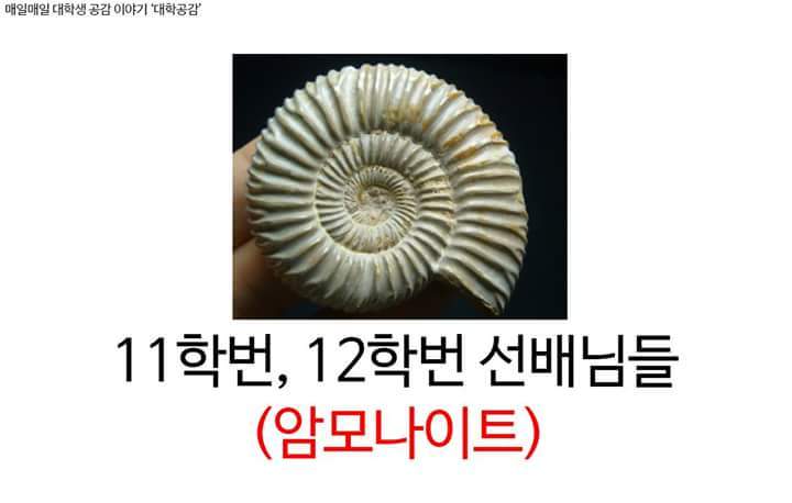 16학번들이 만나게 될 선배님들 | 인스티즈