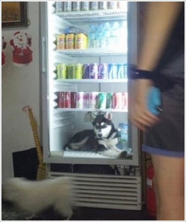 공감 이미지