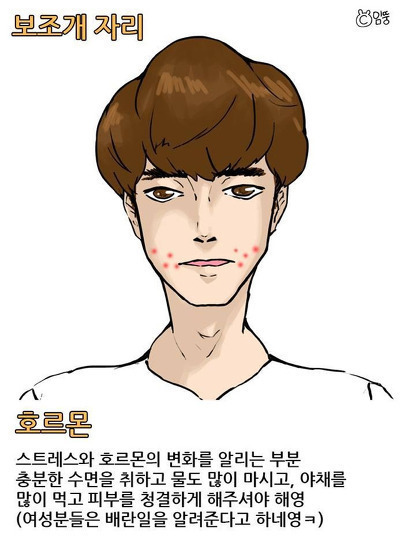 여드름이 나는 이유 | 인스티즈