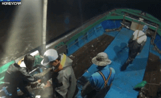 하루가 정말 너무 고단한 김세정.....jpgif | 인스티즈