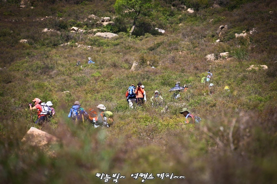 후성 이미지