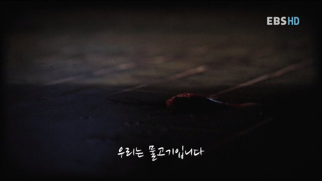 자본주의 속 우리의 현실 상황... 공감되서 소름 돋네요.. | 인스티즈