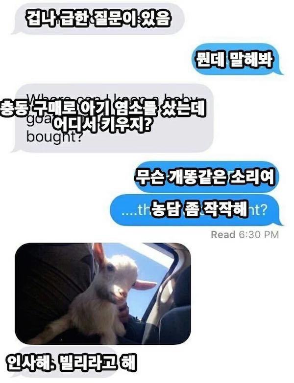 충동 구매 甲 | 인스티즈