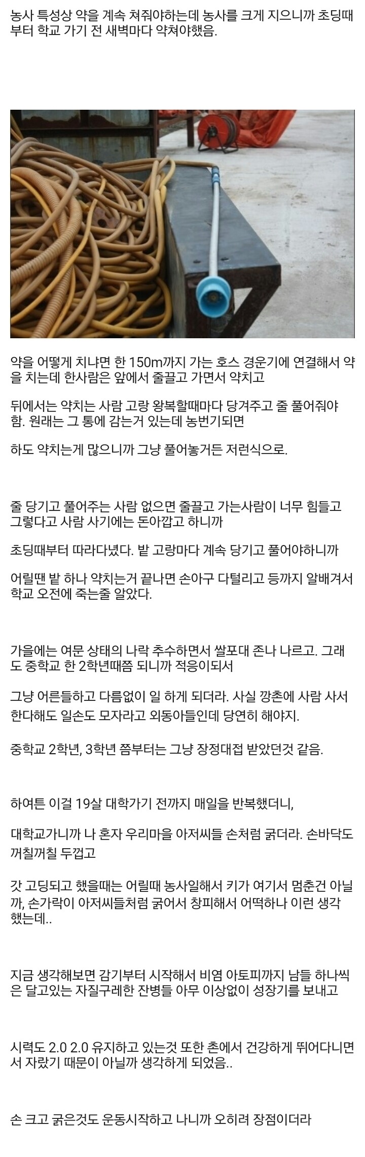 헬스갤) 20살인데 어릴때부터 농사일 많이한거 후회했는데 단점만 있는건 아니더라 | 인스티즈