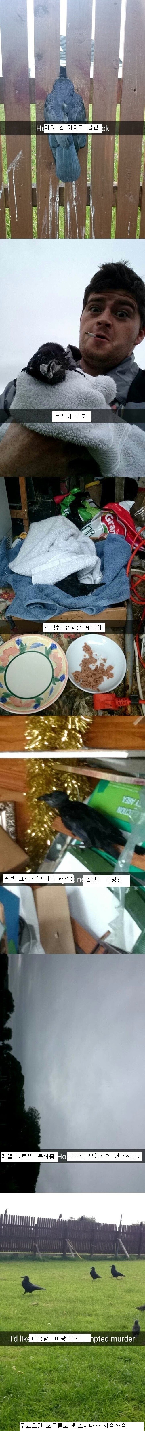 까마귀 찬가 | 인스티즈