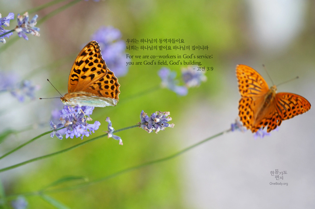 영원기업 이미지