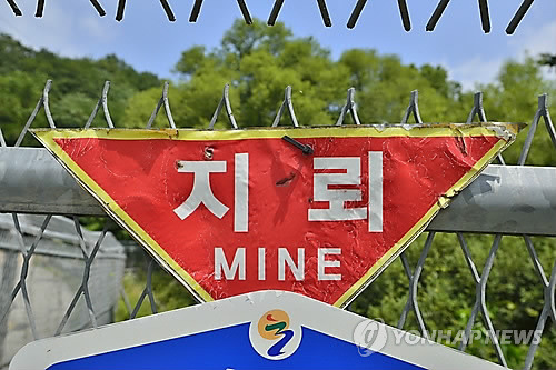 파주 민통선에서 지뢰터져 60대 발목절단 | 인스티즈