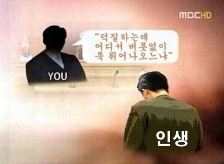 공카 이미지