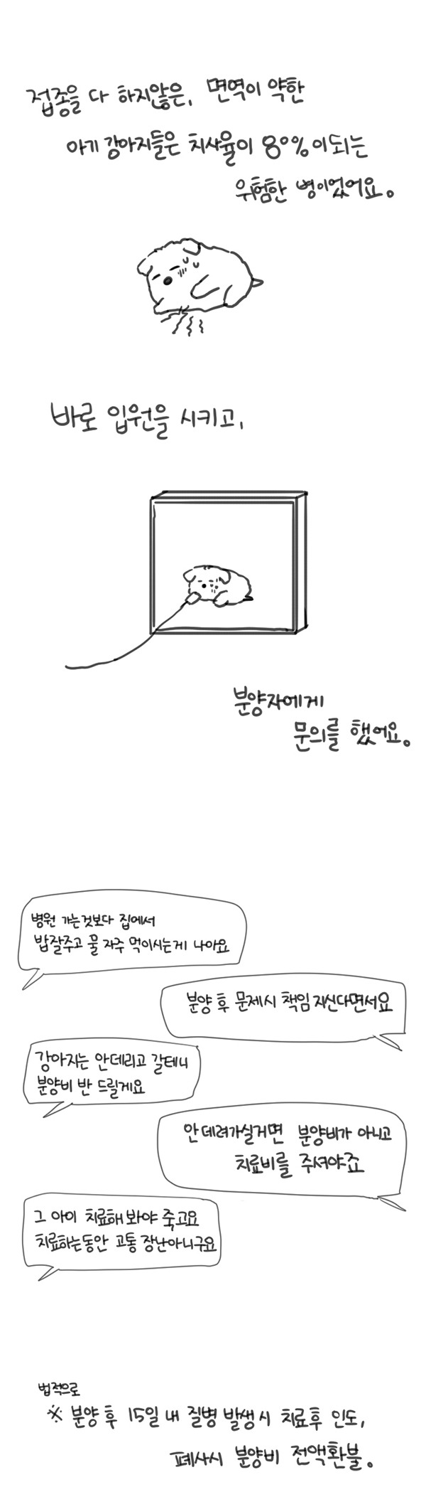 반려견 사기 피해자들의 제보를 받고 있습니다 | 인스티즈