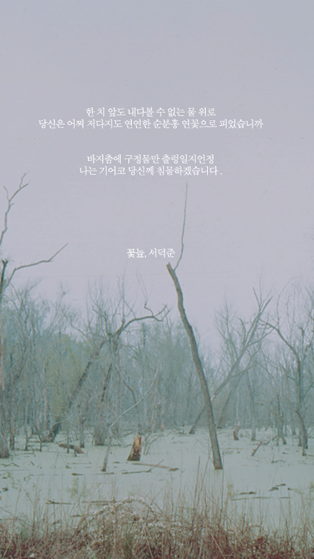 서덕준 시 모음 1 | 인스티즈