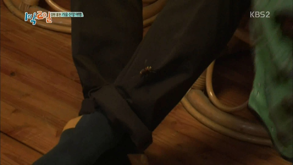 1박2일 시즌3가 역대급 팀워크라 불리는 이유.jpg | 인스티즈