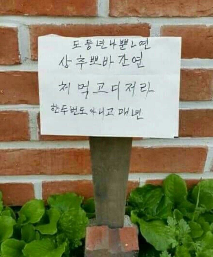 뽀바뽀바 이미지