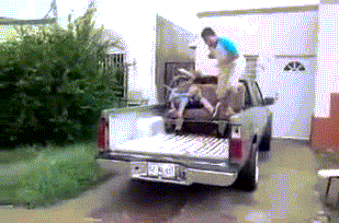 인생 노잼일때 보는 내 최애 움짤들.gif | 인스티즈