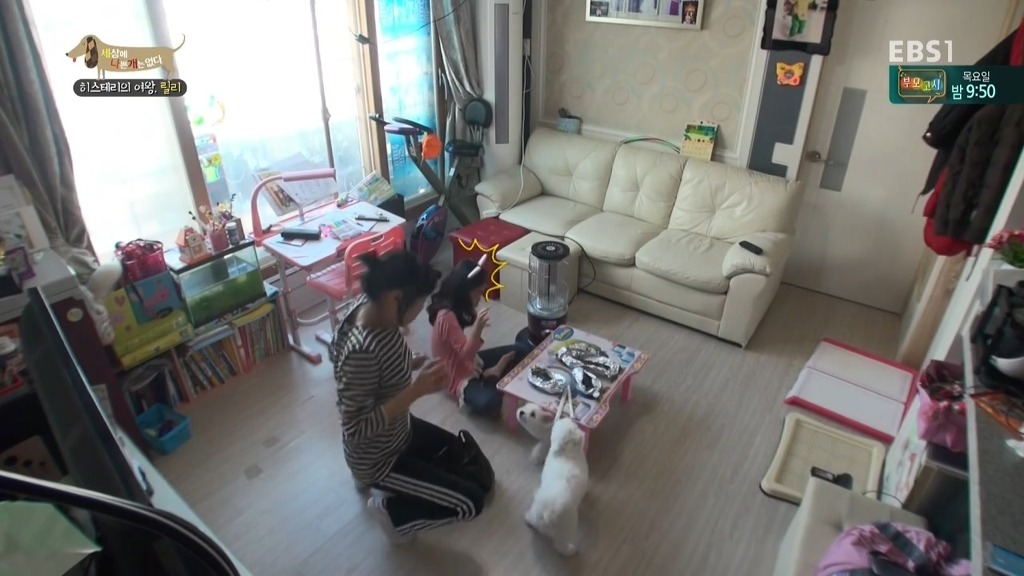 [세상에나쁜개는없다] 가족들에게 짖고 무는 강아지 릴리햏 | 인스티즈