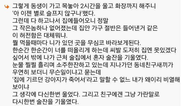 다시는 안키운다 | 인스티즈