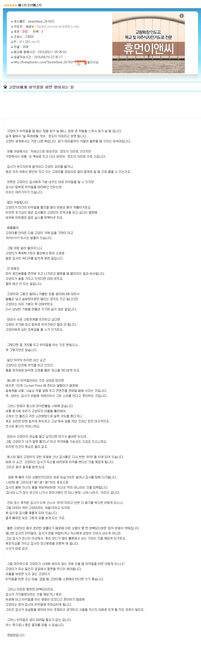 고양이에게 하악질을 하면 벌어지는일 | 인스티즈