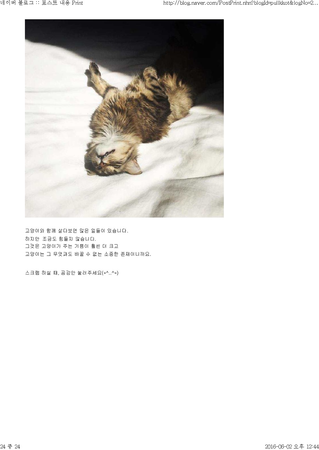 고양이와 함께 산다는것 | 인스티즈