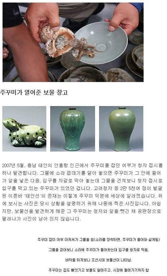 어부의 보은? | 인스티즈