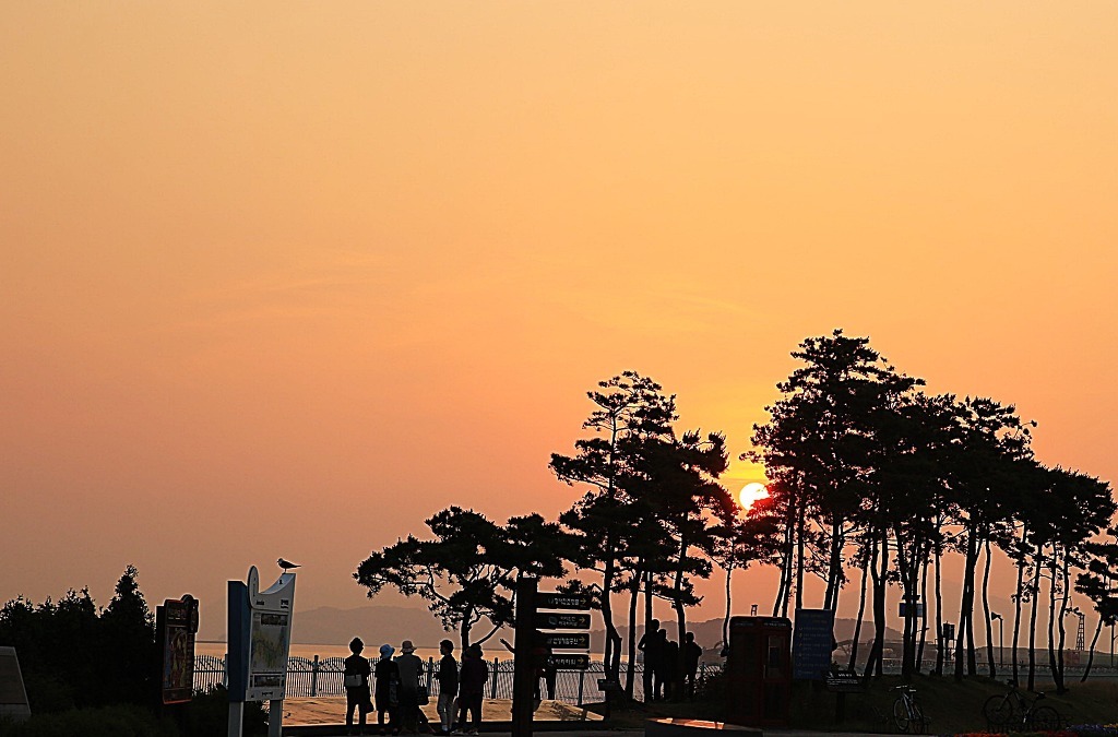 정서진 이미지