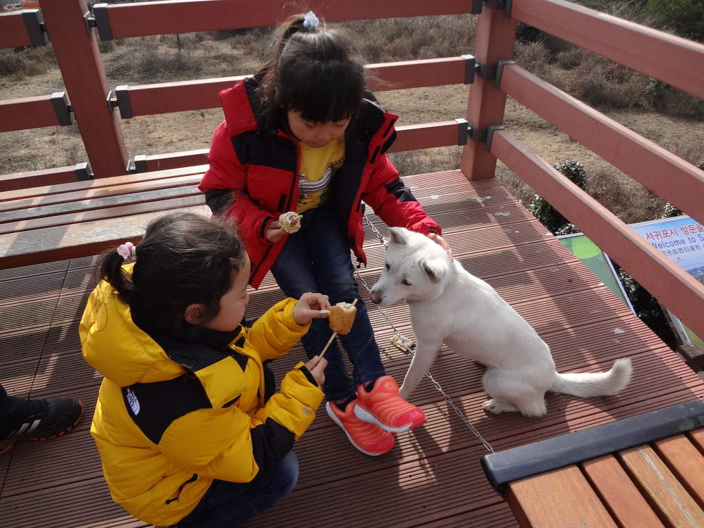 동진 이미지