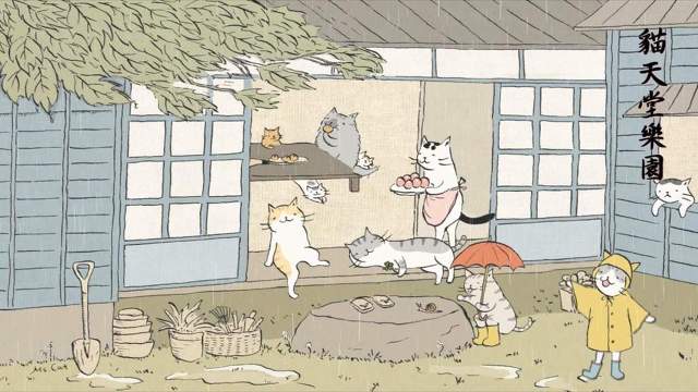 우리가 출근하면 냥이들은 뭐하고 있을까? | 인스티즈