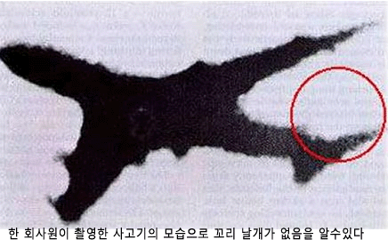 일본 JAL 비행기 추락 생존자의 글 | 인스티즈