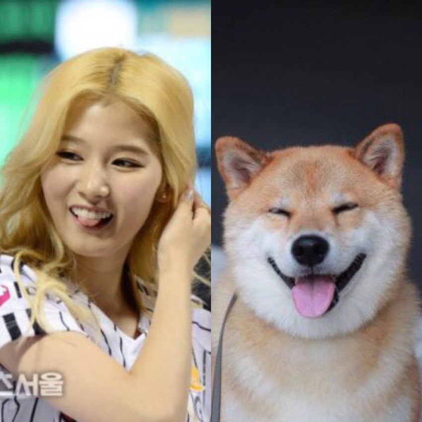 트와이스 시바? | 인스티즈