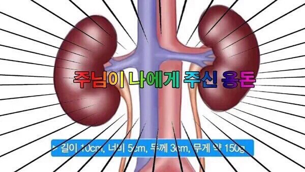 부모님이 카톡 프사 바꾸라고 권유하실 st 의 짤들 | 인스티즈