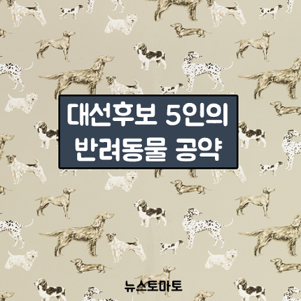 대선후보 5인의 반려동물 공약 | 인스티즈