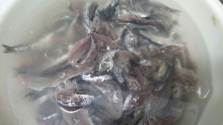 메르치 이미지