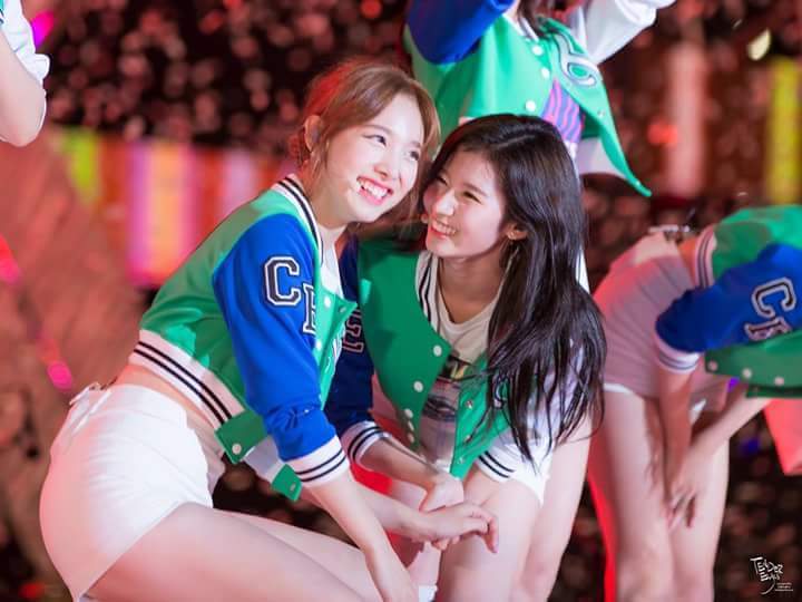 어제자 트와이스 콘서트 | 인스티즈