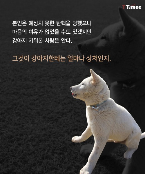 박근혜를 거쳐 간 강아지들 스토리 | 인스티즈