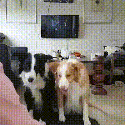 사진 찍는다.gif | 인스티즈