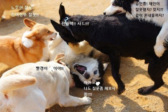  개싸움으로 본 오늘의 토론 한 장짤 | 인스티즈