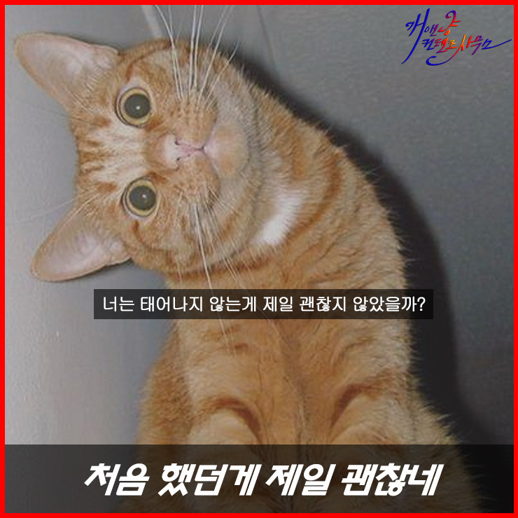 디자이너들이 가장 듣기 싫은 말말말!? | 인스티즈