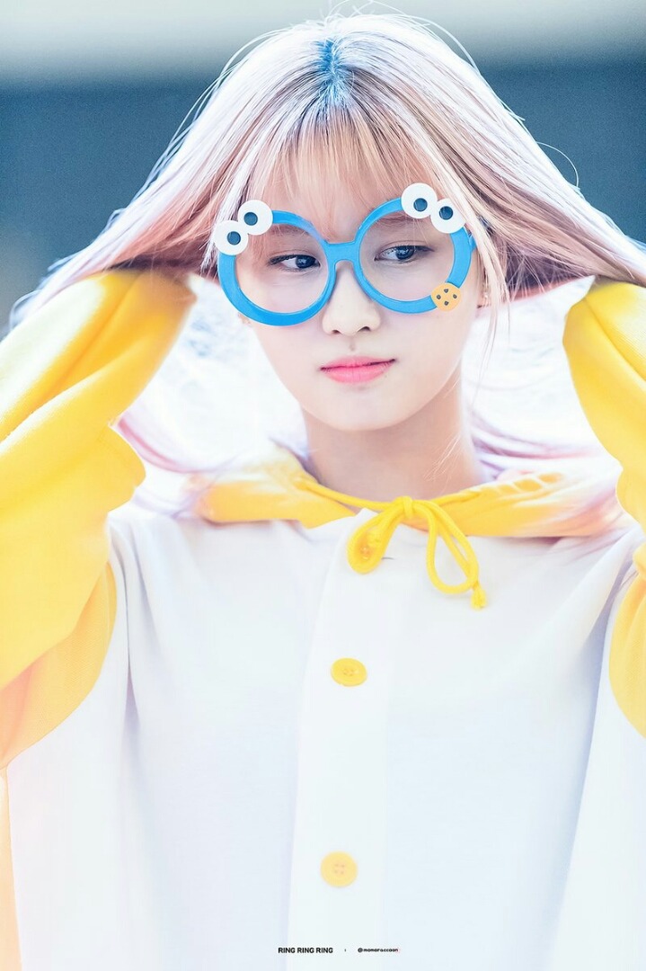 [트와이스] 쿠키몬스터 안경을 쓴 모모 | 인스티즈