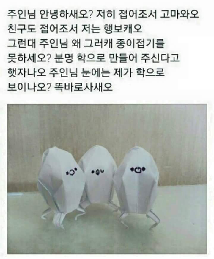 안녕하새오.jpg | 인스티즈