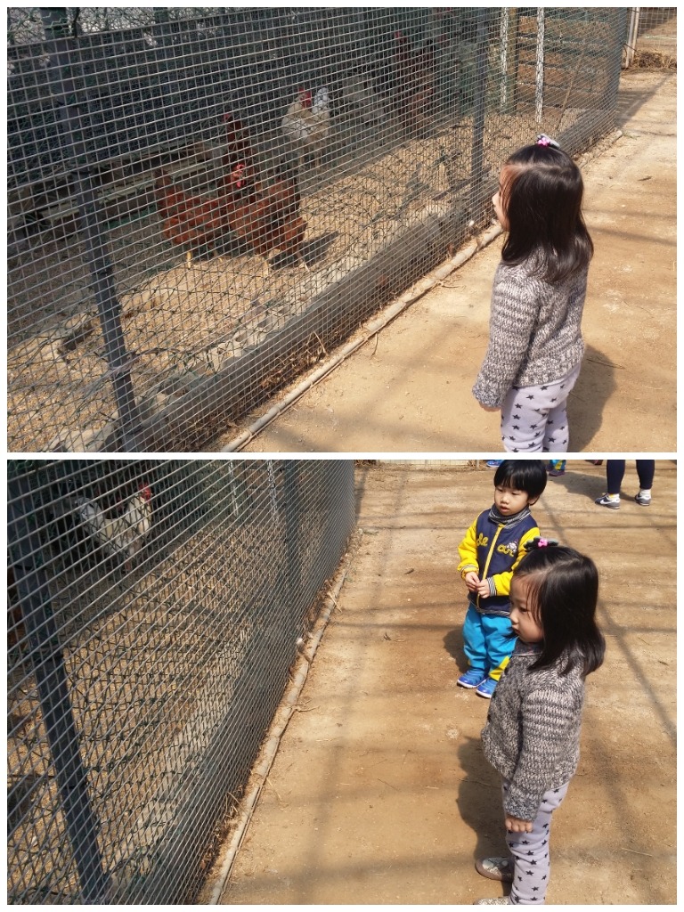 주영농원 이미지