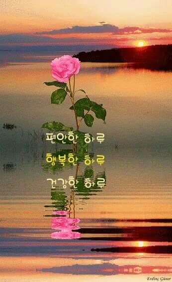 힘내세요 이미지