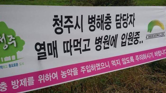 청주시의 현수막 | 인스티즈