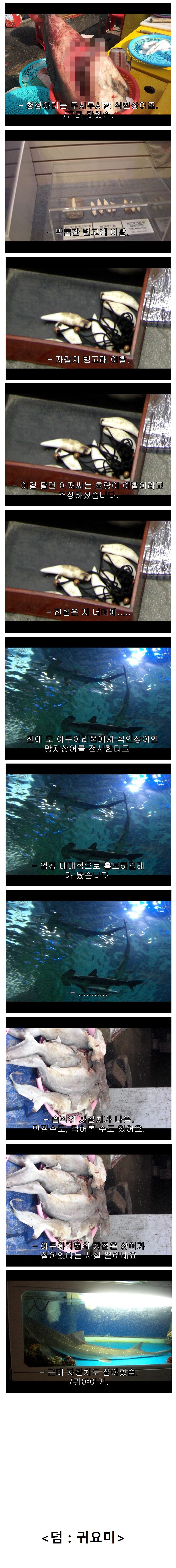 그러니 여러분은 아쿠아리움을 멀리하고 자갈치를 가시는게 좋습니다 | 인스티즈