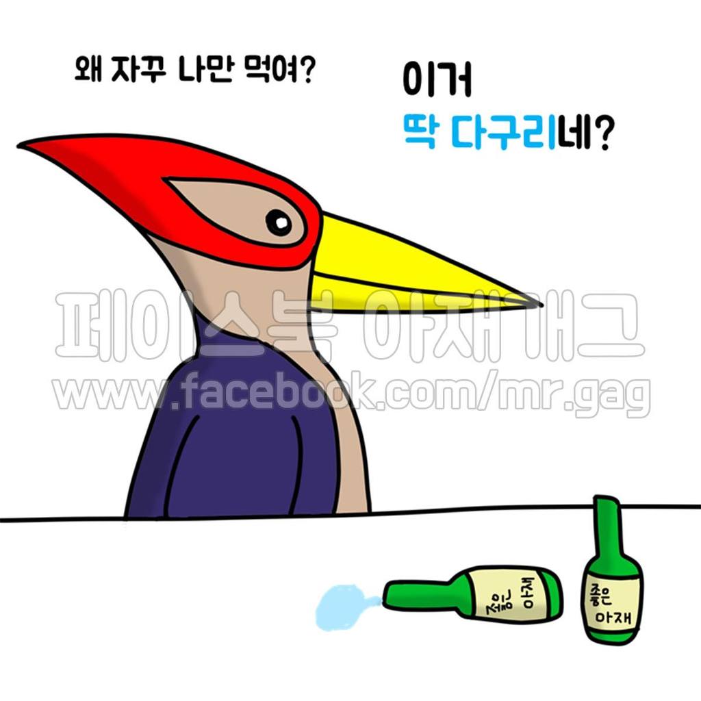 새들이 술 마실 때 | 인스티즈