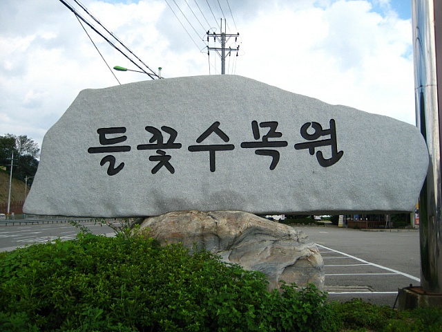 들꽃수목원 이미지