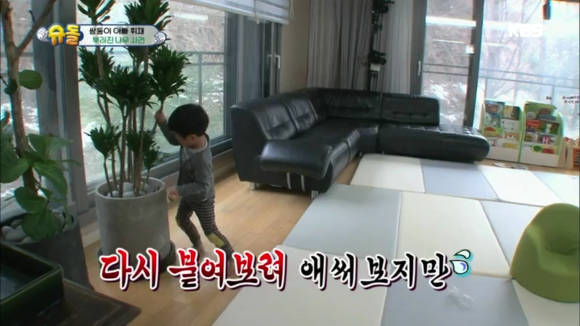 나무를 부러트린 서준이의 최후 | 인스티즈
