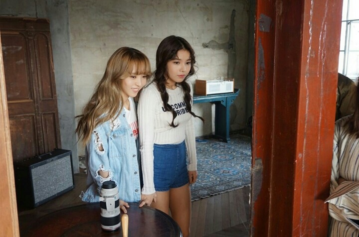 공공칠 이미지