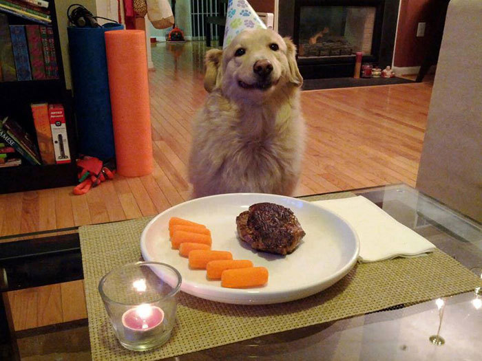 생일파티하는 동물들.jpg | 인스티즈