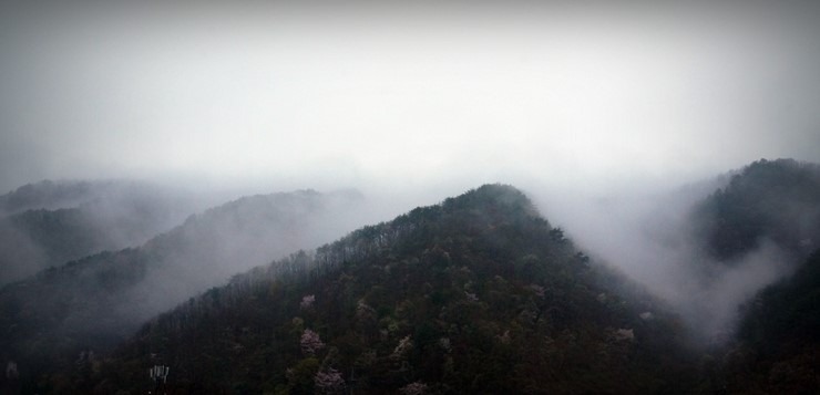 행복한농부 이미지