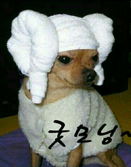 안녕하세요 이미지