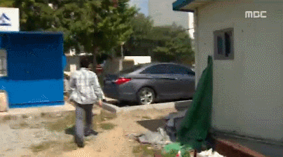 CG가 아닌 실제상황.gif | 인스티즈