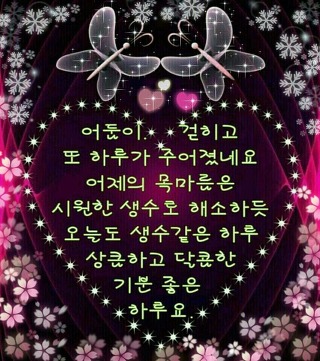 중국가자 이미지